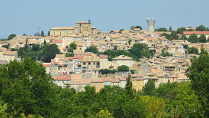 Enlèvement arbre urgence Cavaillon